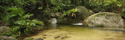 Wurrmbu Creek - Mossman Gorge - QLD H (PBH4 00 17005)